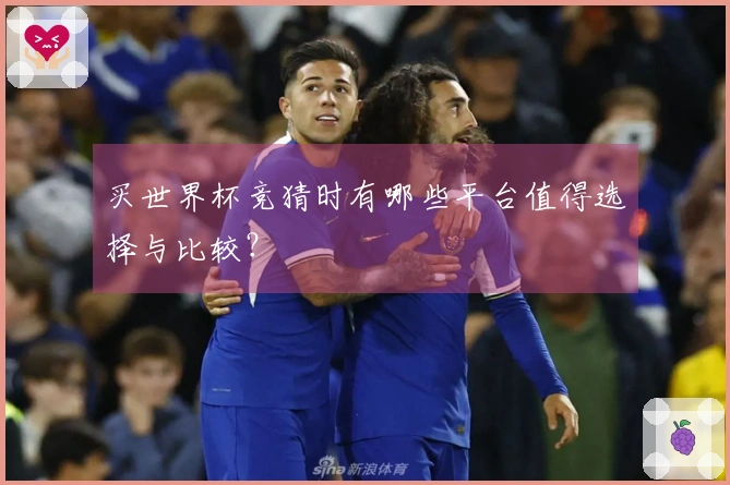 买世界杯竞猜时有哪些平台值得选择与比较？