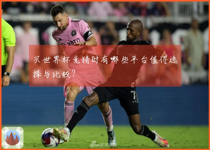 买世界杯竞猜时有哪些平台值得选择与比较?