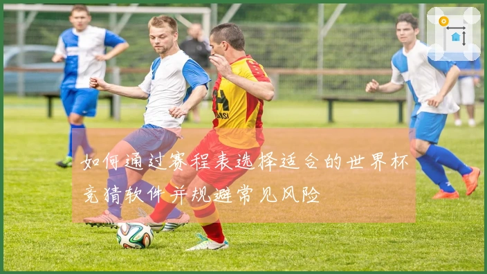 如何通过赛程表选择适合的世界杯竞猜软件并规避常见风险